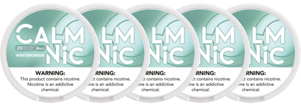 Winter Green 4Mg 20Pcs (5 pack)